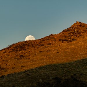 Beautiful moon rising over a ridge on the High Peak game estate NZ